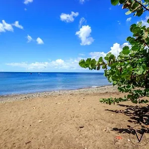 Créole , Pointe-Noire Guadeloupe